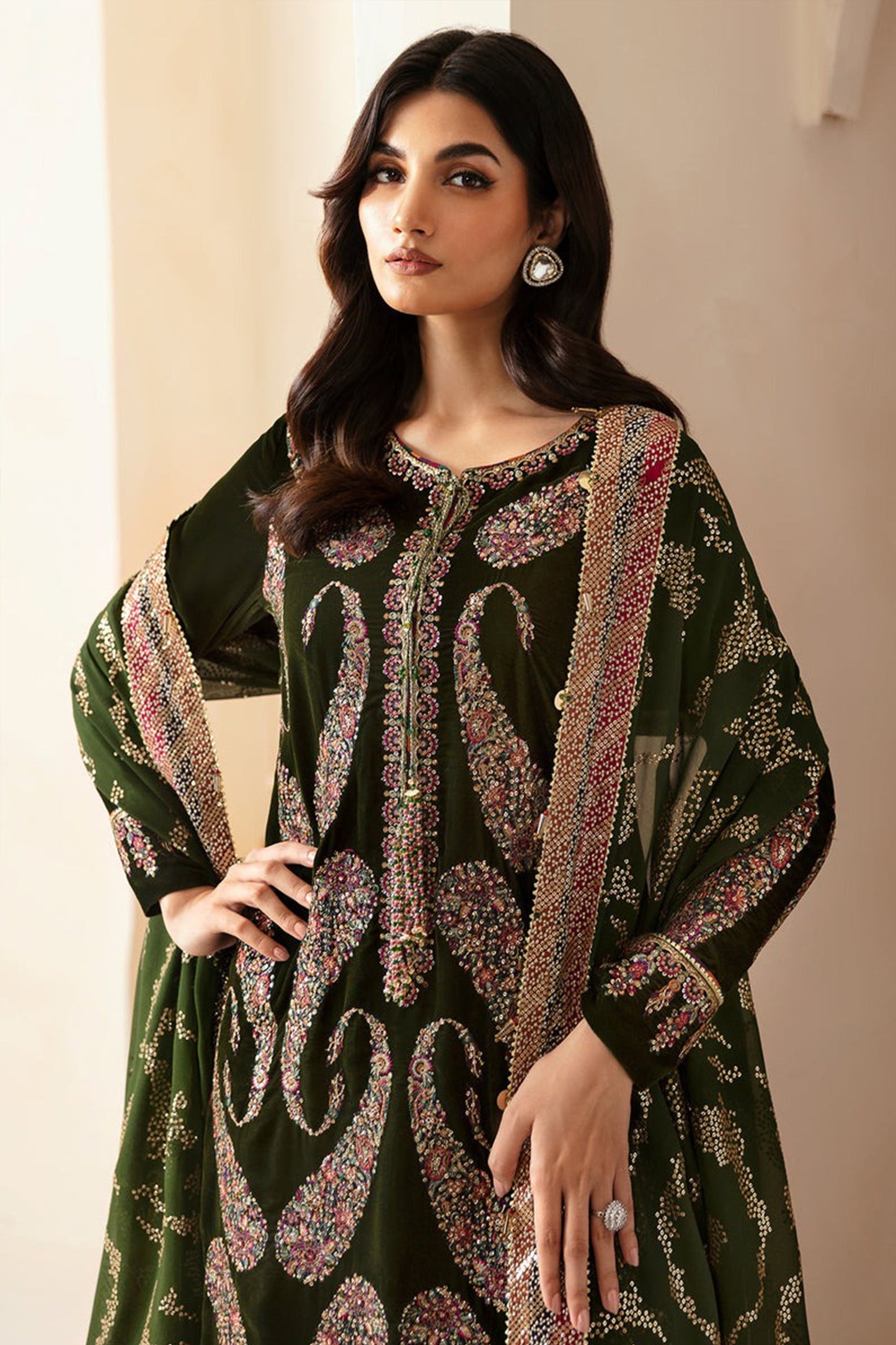 CF1106 Winter jazmin Embroidered Velvet Dress With Organza embroidered Dopata