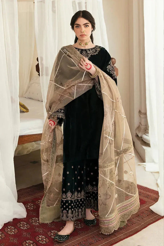 CF1118-Winter Baroque Embroidered Velvet Dress With Organza embroidered Dopata
